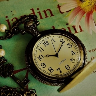 世にも奇妙な物語データベース｜ズンドコベロンチョ